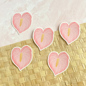 Pink Anthurium - Clear Sticker